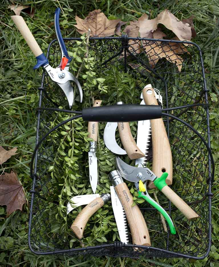 Hoe je tuin te onderhouden tijdens de lente?