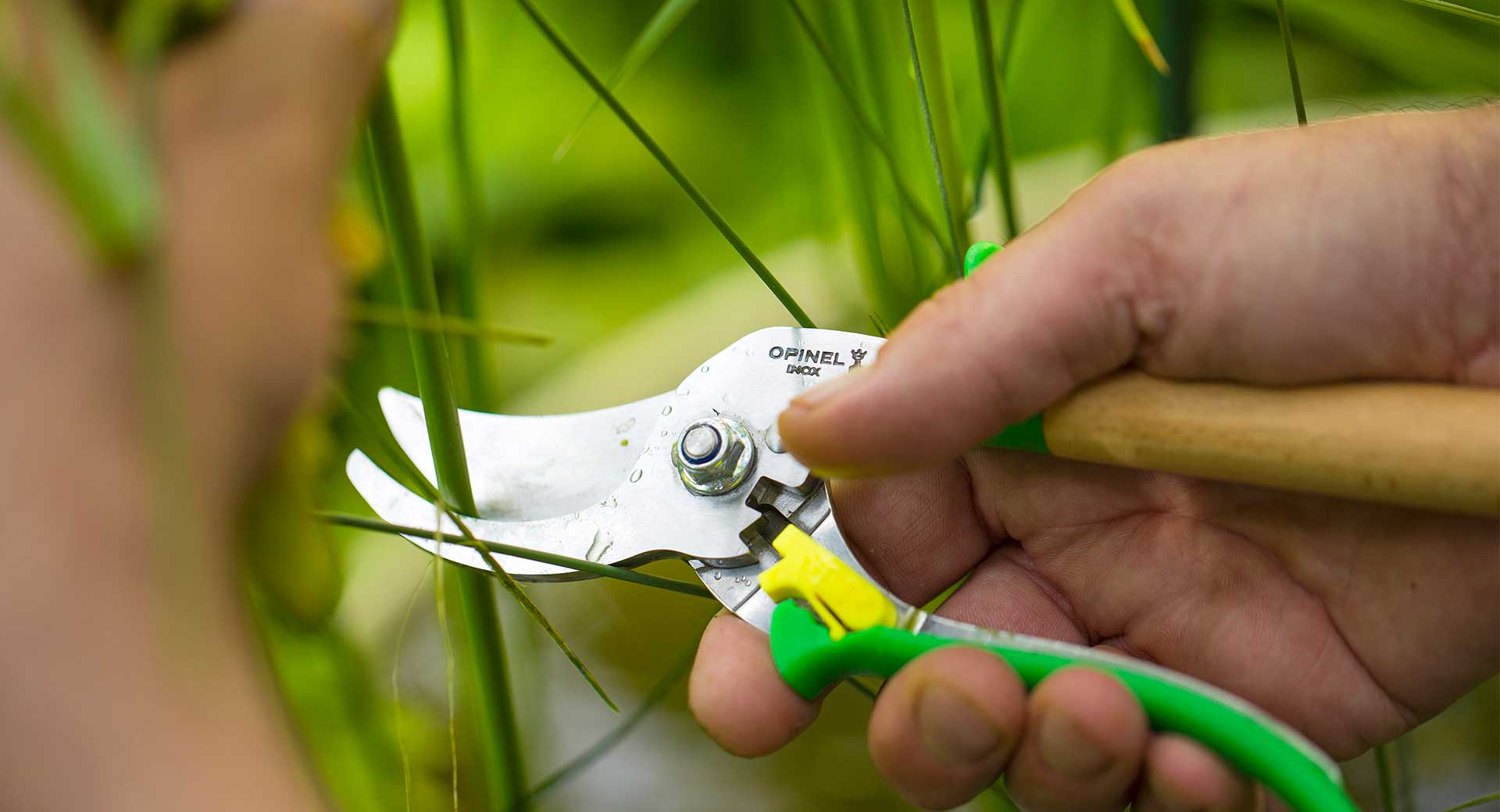 Opinel pruning shears hotsell