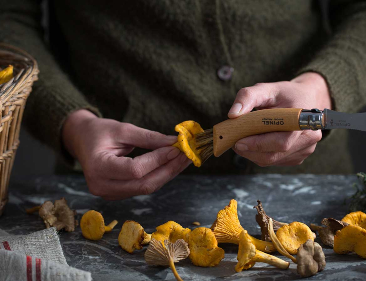 Pilzmesser mit Bürste