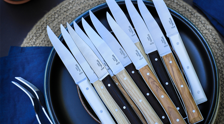 Coffret de 4 couteaux de table Facette Panaché