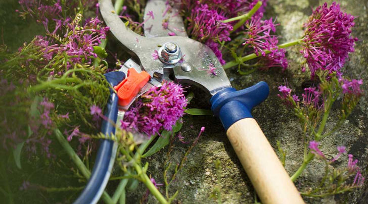Hand Pruner Slate
