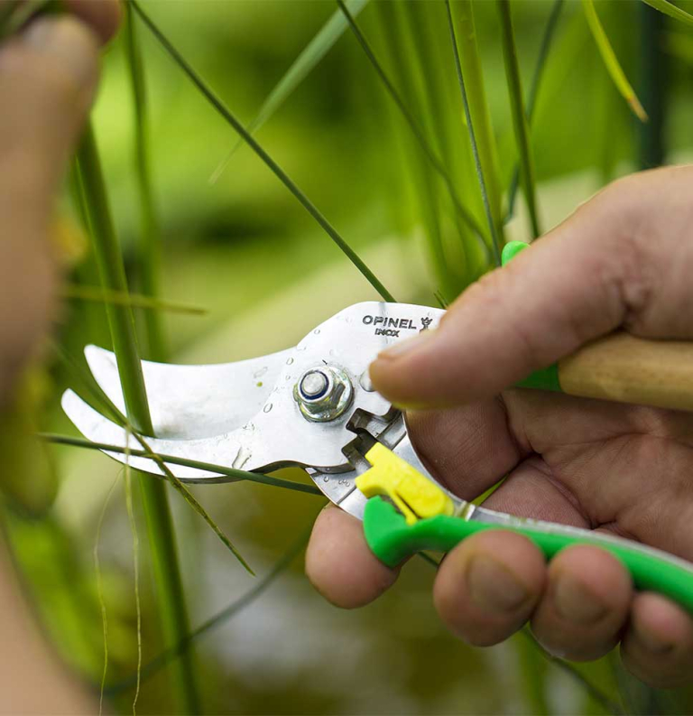 Hand Pruner Meadow