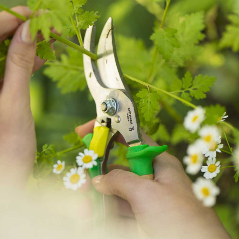 Hand Pruner Meadow