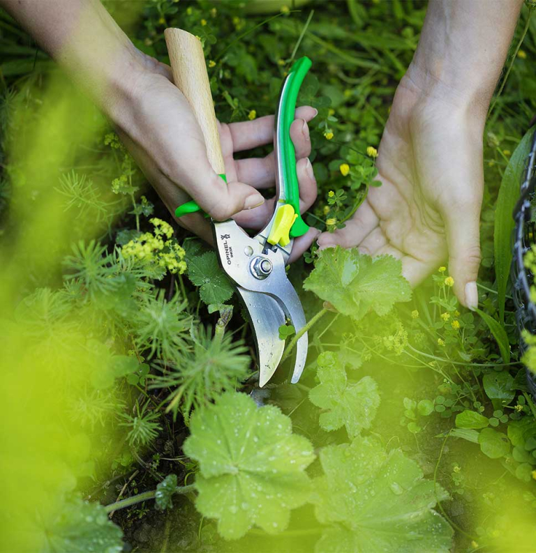 Hand Pruner Meadow