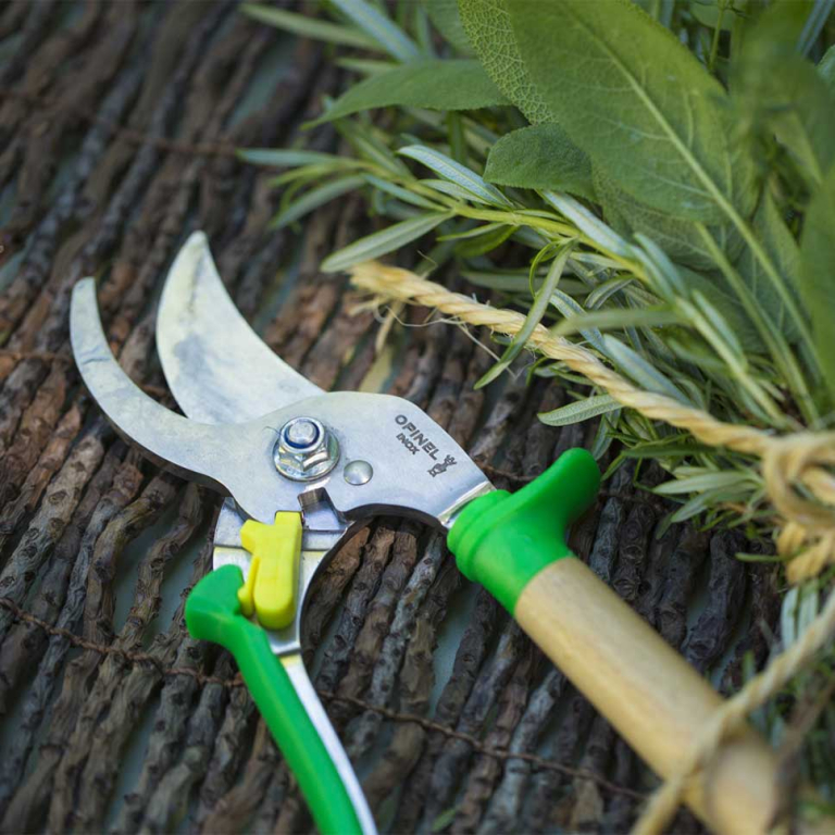 Hand Pruner Meadow