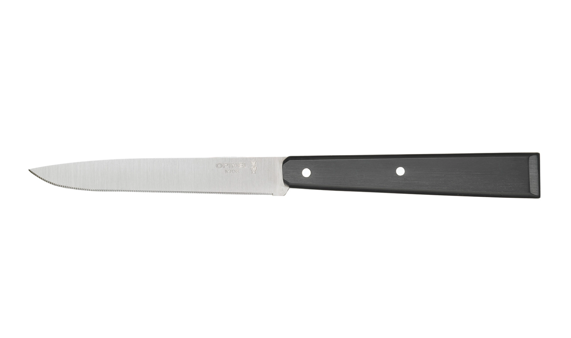 Opinel - Tischmesser N°125 Pro - Personalisierbar - 11 cm Steakklinge mit Mikroverzahnung aus rostfreiem Stahl - Spülmaschinenfest - Made in France