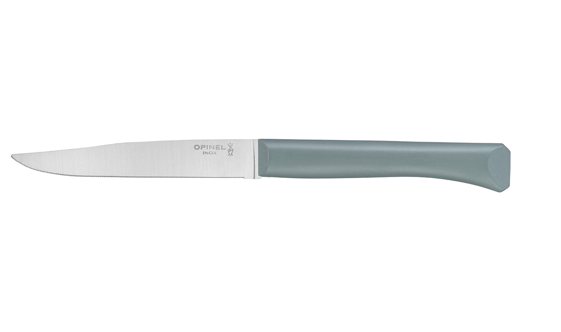 Opinel - Table Knife Bon Appétit + Sage - Customisable - Micro-serrated stainless steel blade 11 cm - Dishwasher safe - Made in France