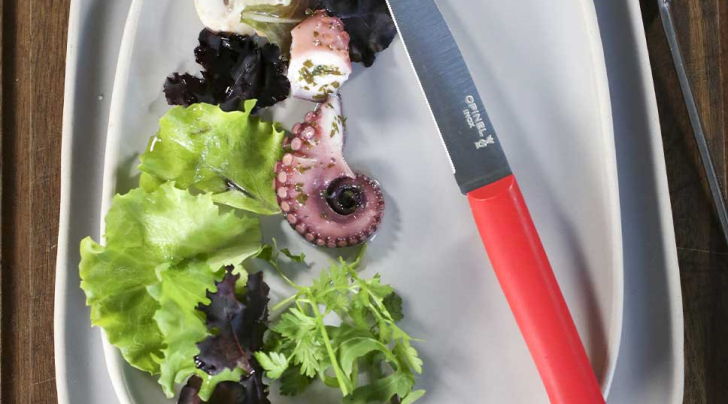Couteau de table Bon Appétit + Rouge