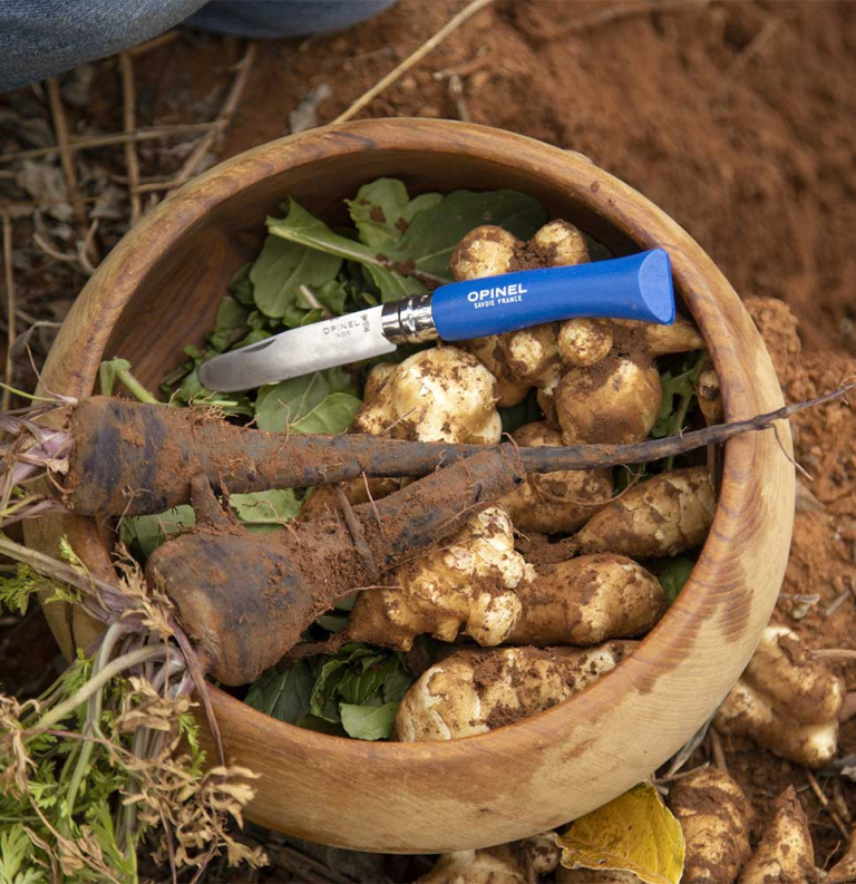 Mon Premier Opinel Bleu