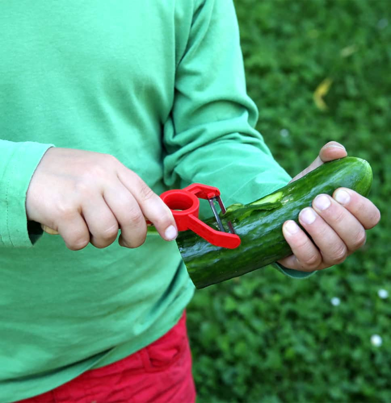 Eplucheur "Le Petit Chef"