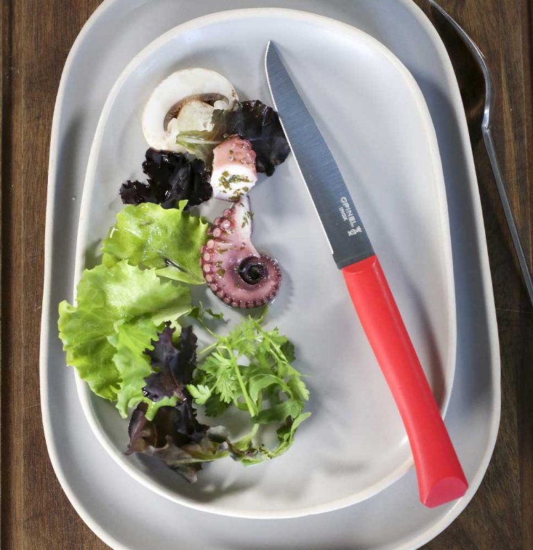 Couteau de table Bon Appétit + Rouge