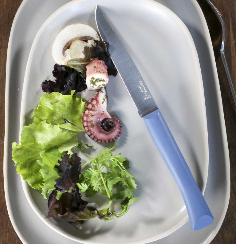 Couteau de table Bon Appétit + Bleu