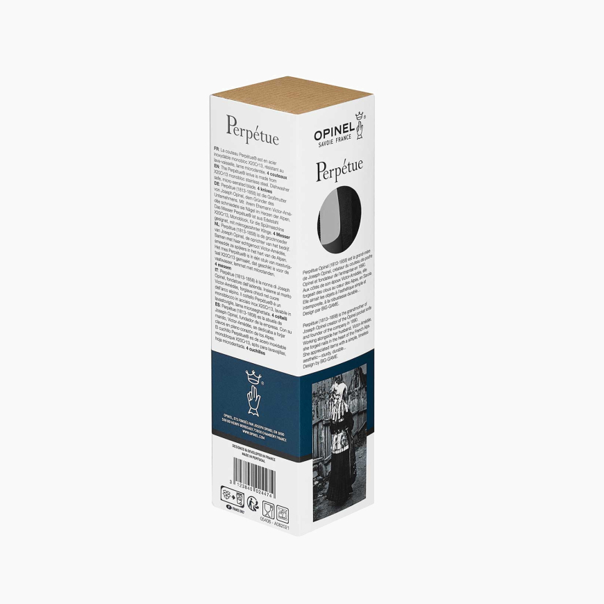 Box of 4 Perpétue Table Knives