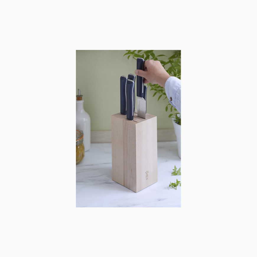 Bloc couteau Intempora