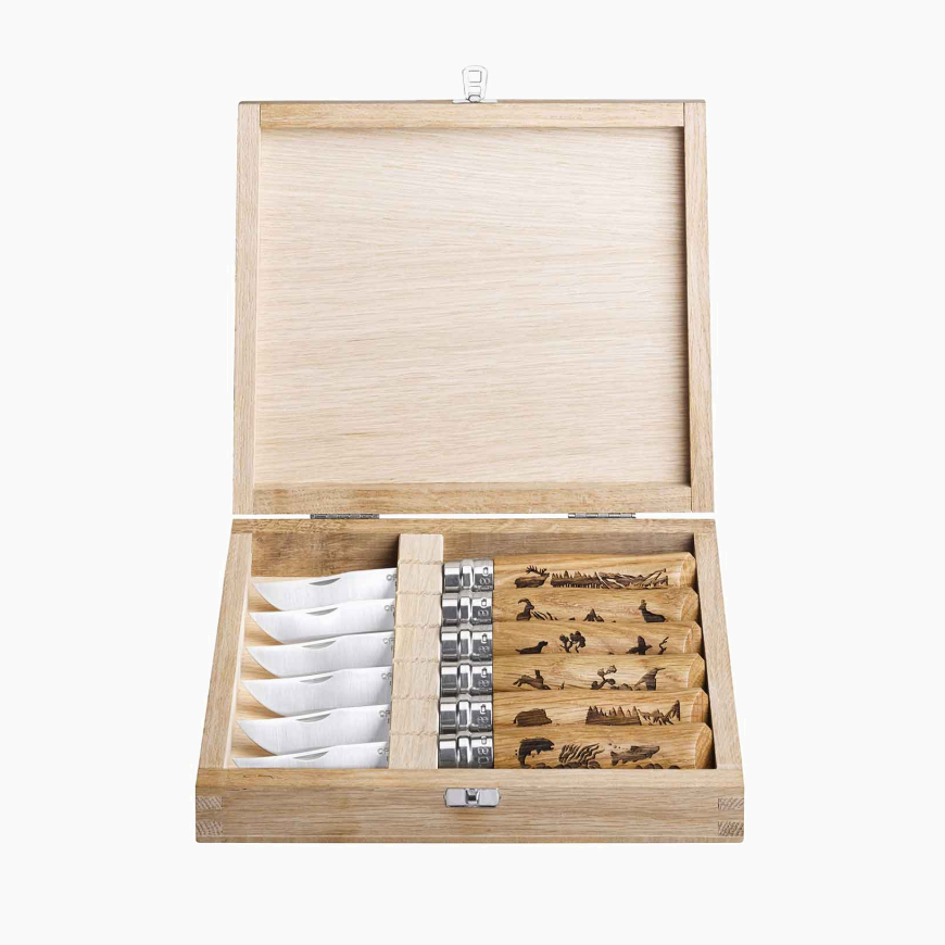 Collection Animalia